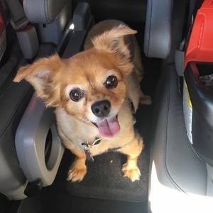 Meet your Posher, Shawna